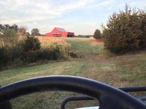 Spin around the property