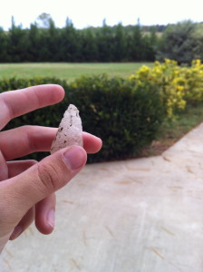 Arrow head