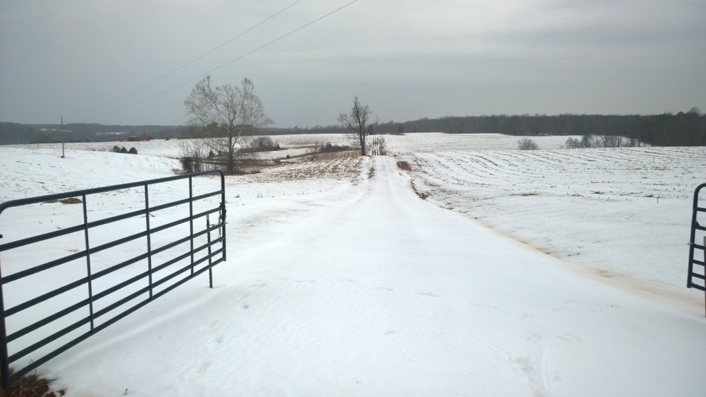 A foot of snow that had compacted but not been driven on since it fell a week ago