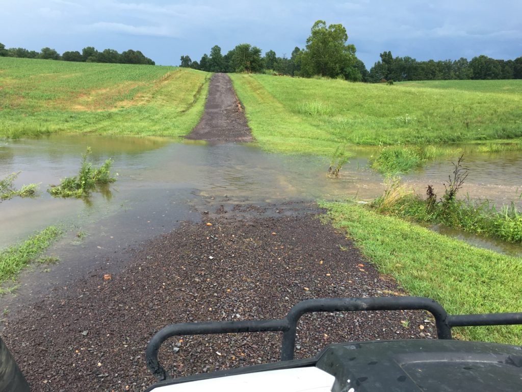 Driveway inundated 