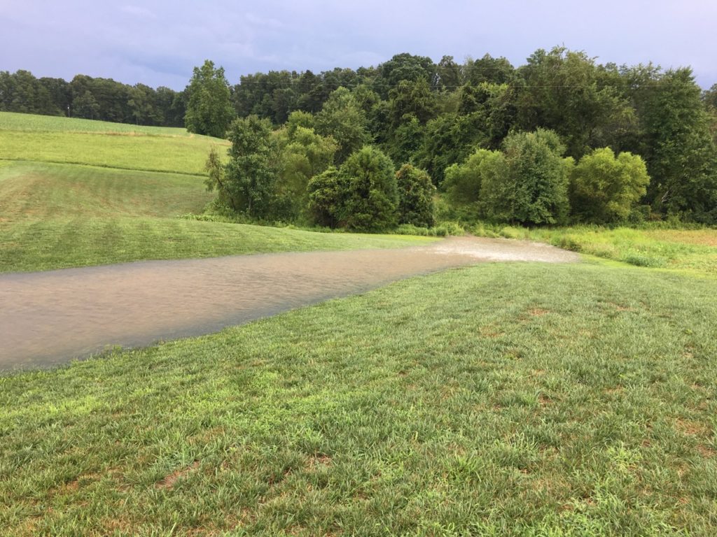 Overflow working perfectly, wide flat turf waterway keeps lots of water flowing smoothly but doesn't erode the dam.