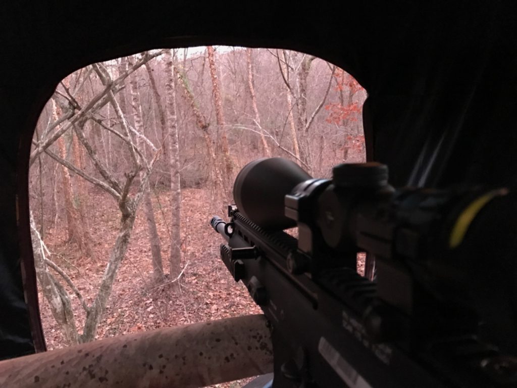 View from the tree stand