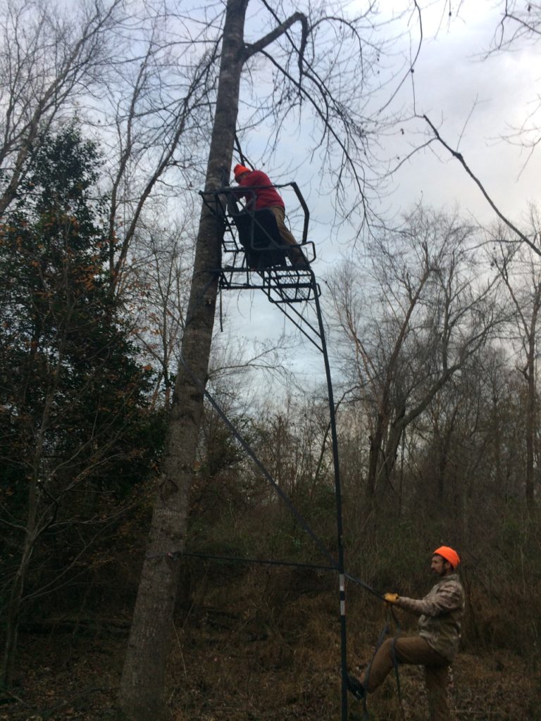 Setting up a second tree stand